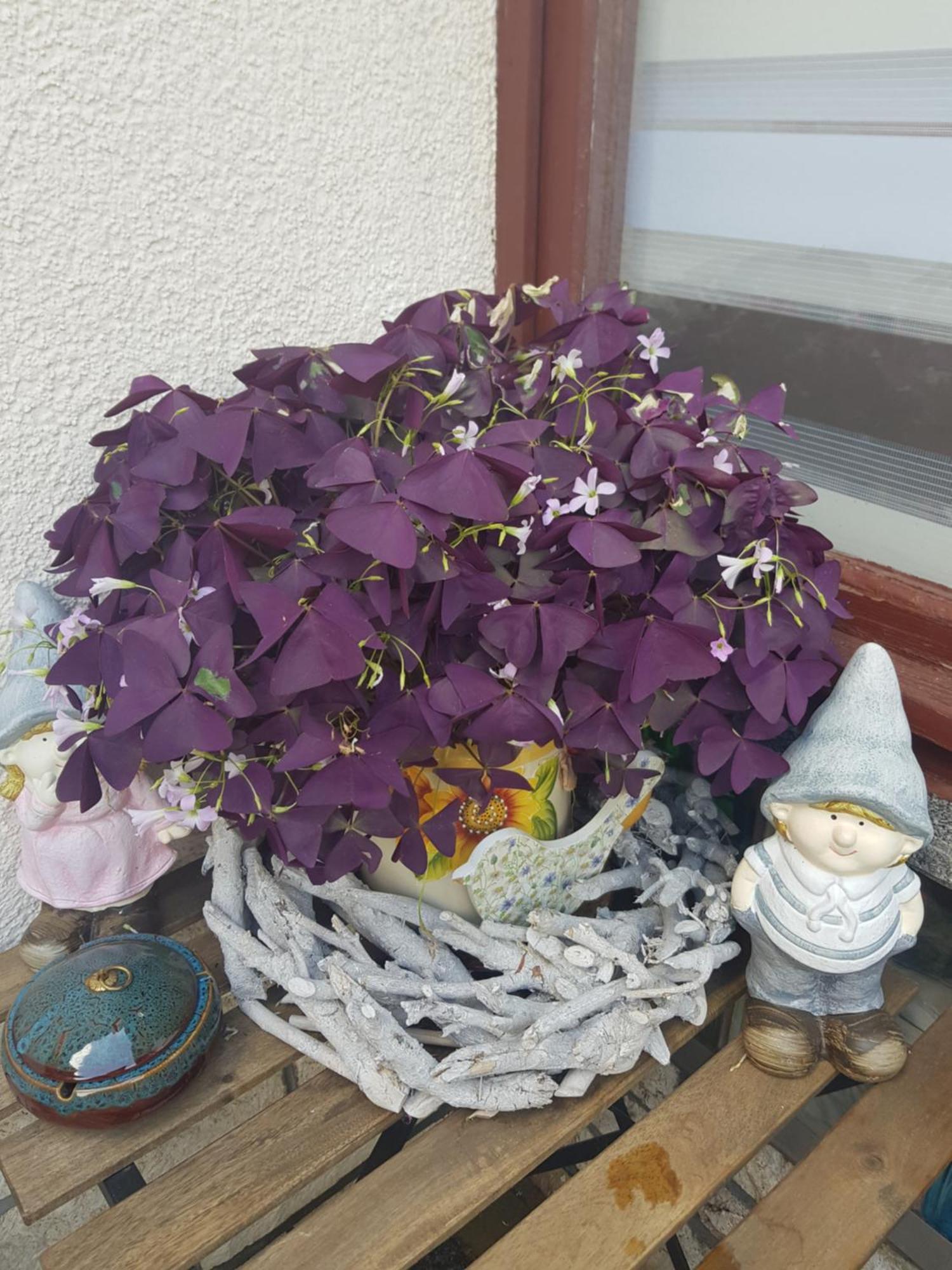 Fewo Weimar Apartment *